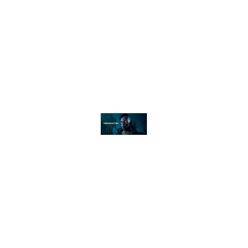 Terminator 2D NO FATE PS4